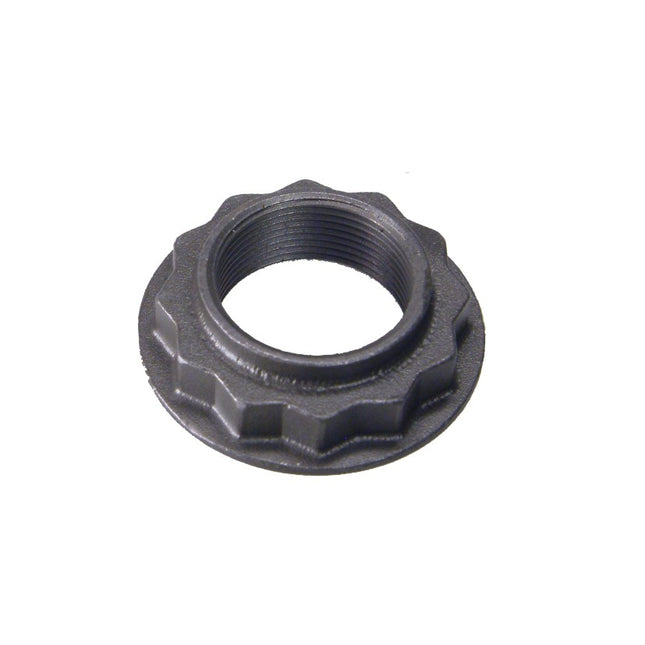 NUT MS FRONT