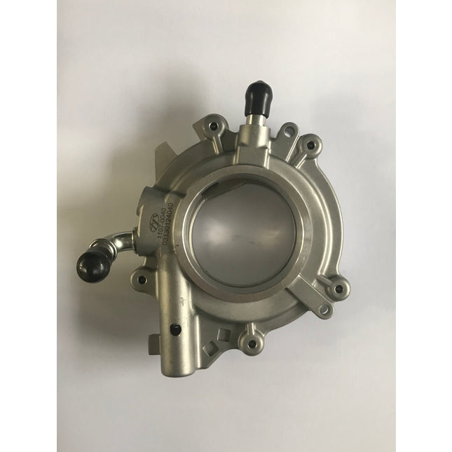 OIL PUMP & 2 HOSES MZW6P