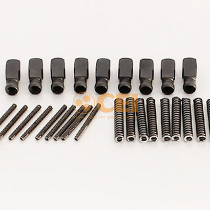 REPAIR KIT ZF 221PEEDS